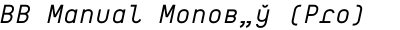BB Manual Monoв„ў (Pro) Text Regular Italic